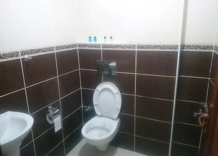 Florin 2* 伊斯坦布尔