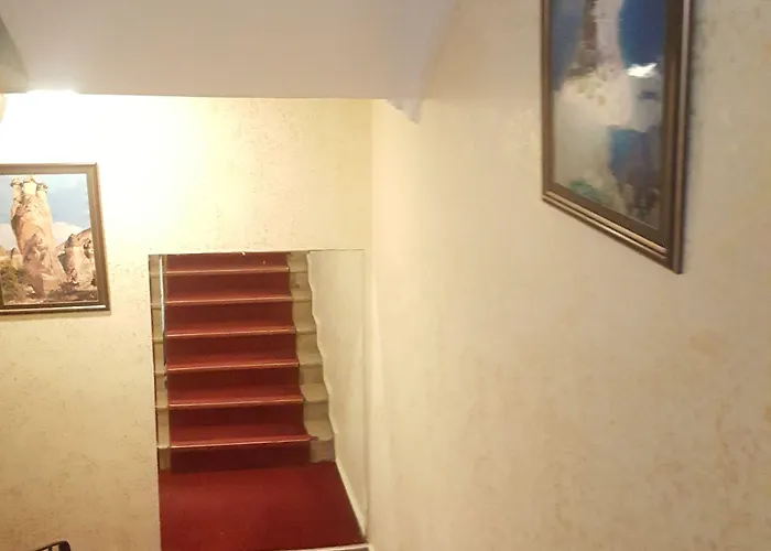 Hotel Florin Istanboel