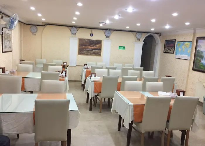 Hotel Florin Istanboel