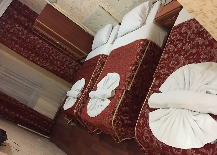 Hotel Florin Istanboel